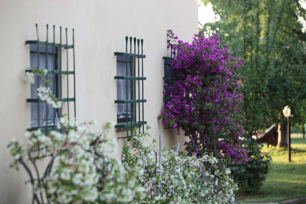 Agriturismo Le Pianore Montespertoli Eksteriør billede