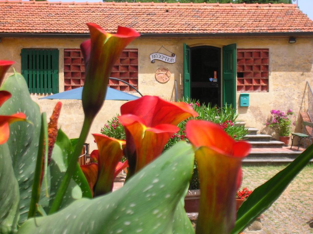 Agriturismo Le Pianore Montespertoli Eksteriør billede