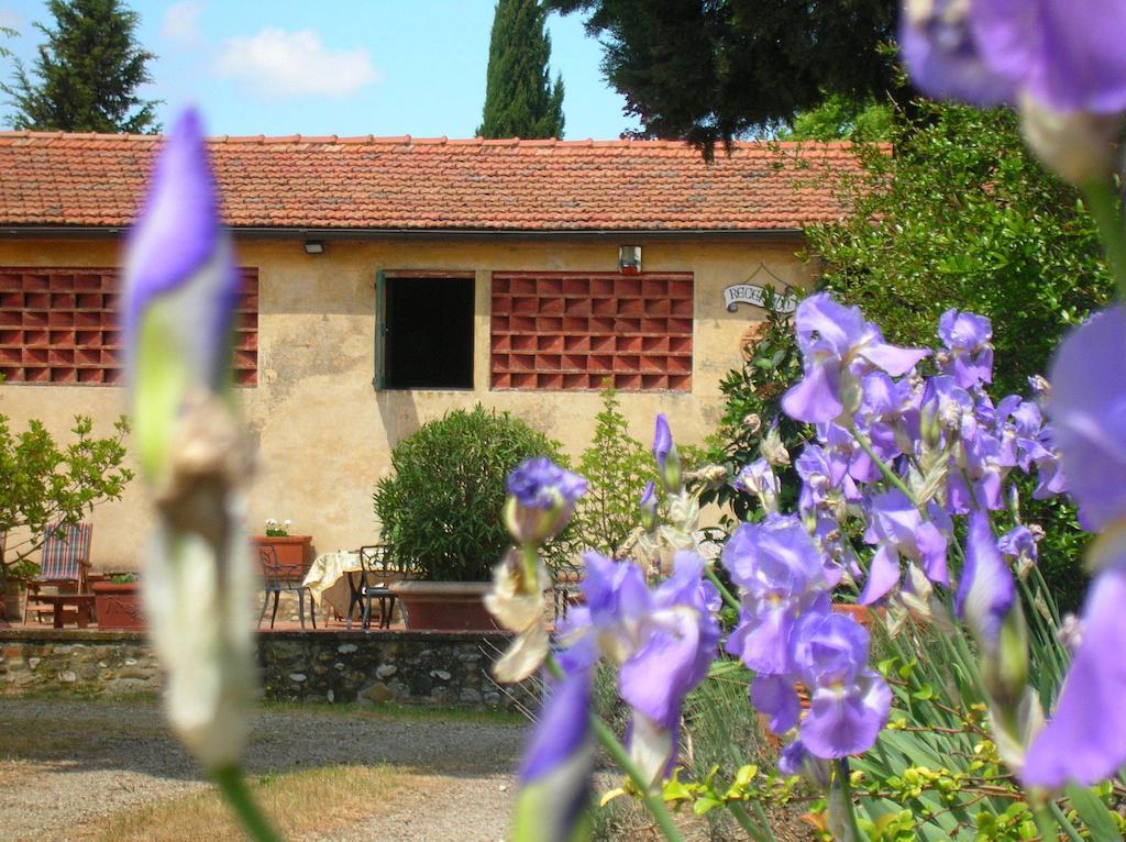 Agriturismo Le Pianore Montespertoli Eksteriør billede